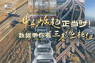 独木难支！约基奇25中13砍下29分12篮板8助攻